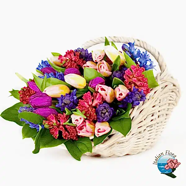 Basket of multicolour tulips